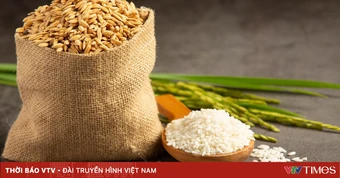 Gạo giữ nhịp xuất khẩu, lúa giữ giá tại ruộng