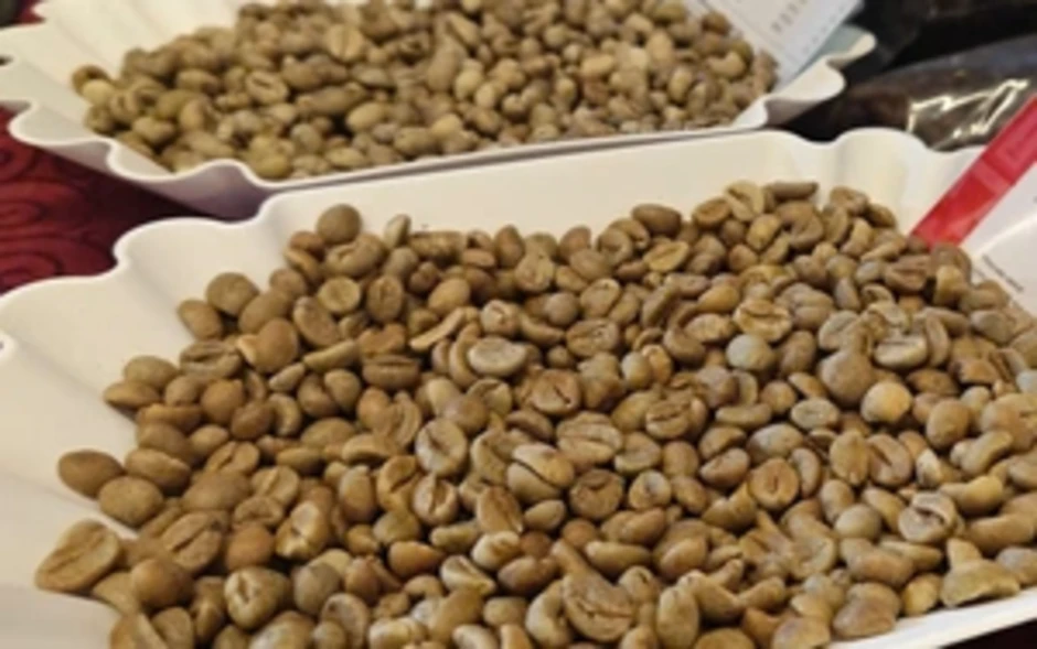 Giá cà phê hôm nay 26-2: Robusta tăng tiếp, Brazil khan hàng Giá cà phê hôm nay 26-2: Robusta tăng tiếp, Brazil khan hàng