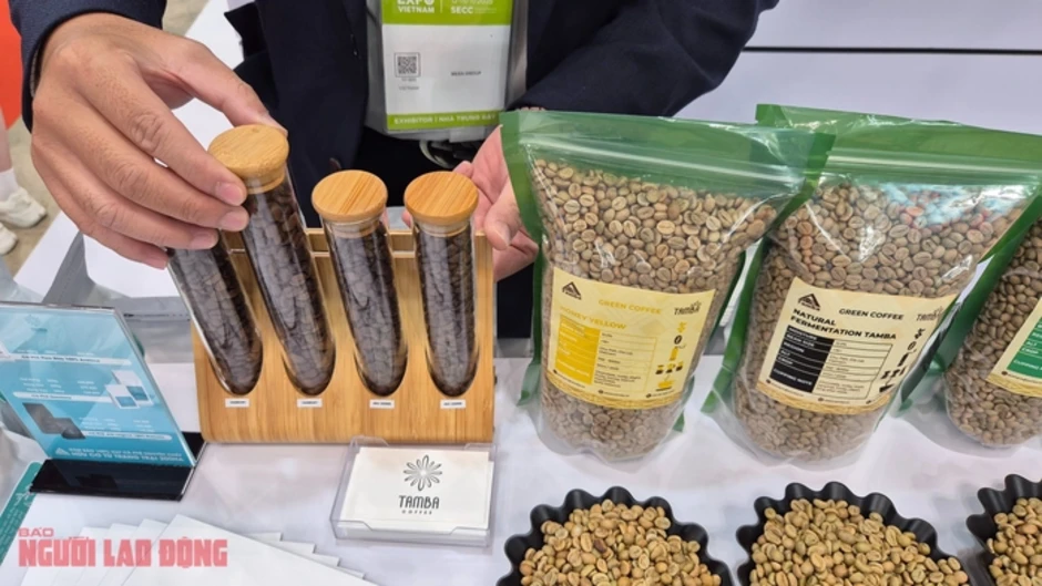 Giá cà phê hôm nay 26-2: Robusta tăng tiếp, Brazil khan hàng Giá cà phê hôm nay 26-2: Robusta tăng tiếp, Brazil khan hàng