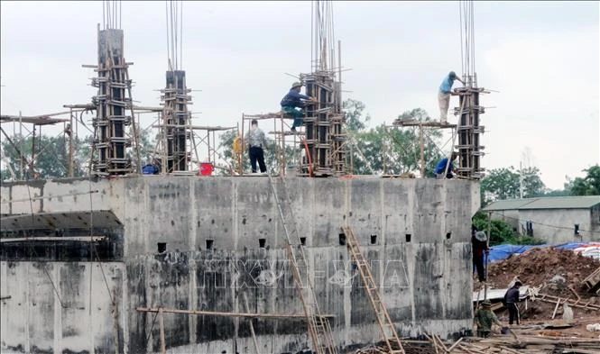 Gia cố 'lá chắn' trước thiên tai Gia cố 'lá chắn' trước thiên tai
