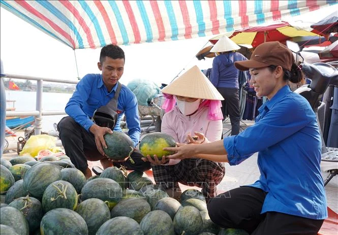 Giá dưa hấu xuống thấp, nông dân lao đao giữa vụ thu hoạch Giá dưa hấu xuống thấp, nông dân lao đao giữa vụ thu hoạch