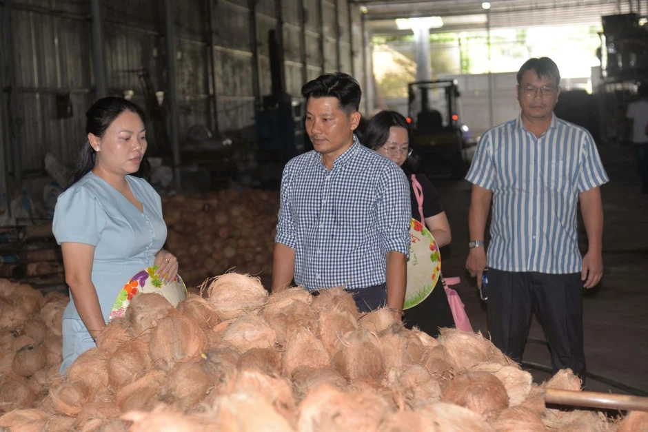 Giá dừa tăng mạnh theo sức nóng thị trường xuất khẩu Giá dừa tăng mạnh theo sức nóng thị trường xuất khẩu