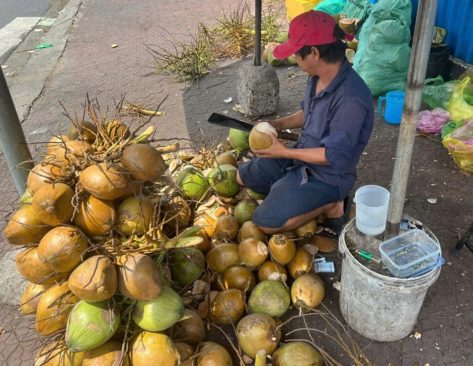 Giá dừa tăng mạnh theo sức nóng thị trường xuất khẩu Giá dừa tăng mạnh theo sức nóng thị trường xuất khẩu