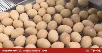 Giá gà và trứng giảm sâu