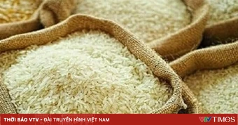 Giá gạo Ấn Độ tăng mạnh