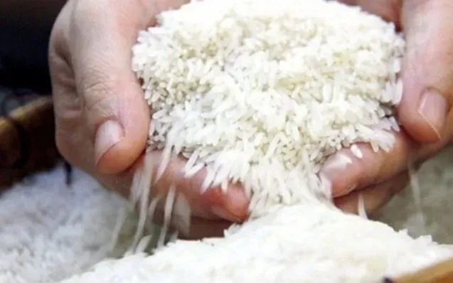 Giá gạo châu Á chịu áp lực từ vận tải đắt đỏ Giá gạo châu Á chịu áp lực từ vận tải đắt đỏ