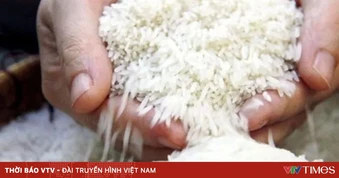 Giá gạo châu Á chịu áp lực từ vận tải đắt đỏ