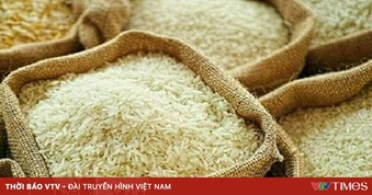 Giá gạo châu Á giảm do chi phí vận tải tăng mạnh