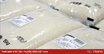Giá gạo Nhật Bản giảm mạnh