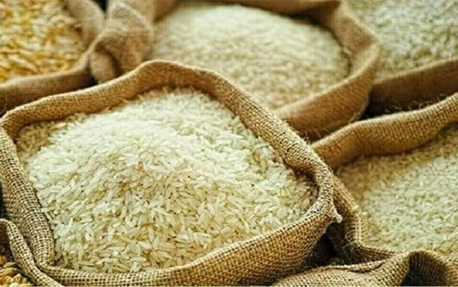 Giá gạo toàn cầu dự báo tăng mạnh Giá gạo toàn cầu dự báo tăng mạnh