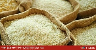 Giá gạo toàn cầu dự báo tăng mạnh
