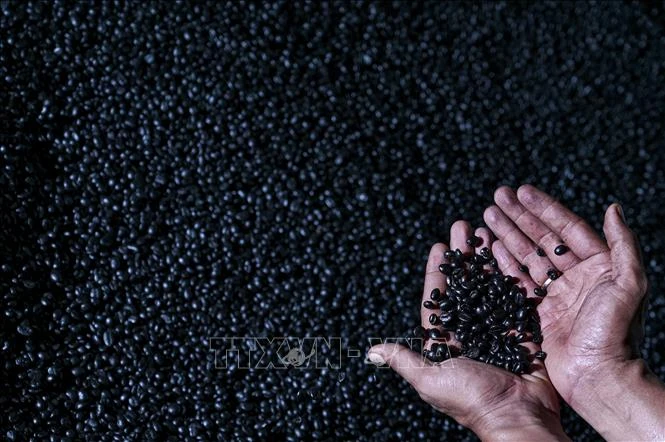 Giá gạo Việt Nam đi ngược xu hướng với các nước xuất khẩu lớn Giá gạo Việt Nam đi ngược xu hướng với các nước xuất khẩu lớn