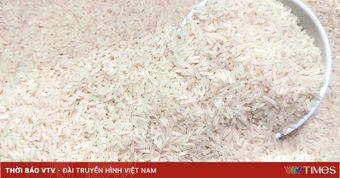 Giá gạo xuất khẩu của Việt Nam tăng mạnh