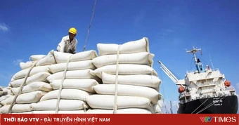 Giá gạo xuất khẩu duy trì ở mức cao