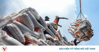 Giá gạo xuất khẩu năm 2026 sẽ có nhiều thay đổi