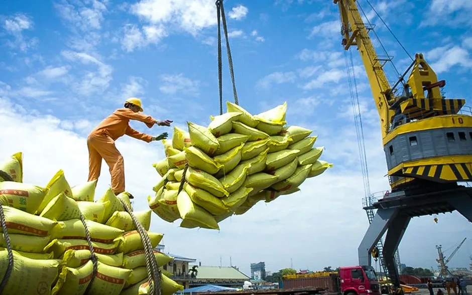 Giá gạo xuất khẩu tăng Giá gạo xuất khẩu tăng