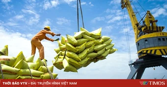 Giá gạo xuất khẩu tăng