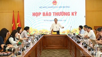 Giá giảm ở nhiều mặt hàng, xuất khẩu nông sản chịu sức ép kép