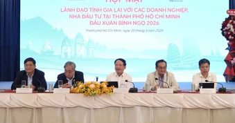 Gia Lai hứa hoàn tất thủ tục đầu tư vào khu công nghiệp chỉ 38 ngày