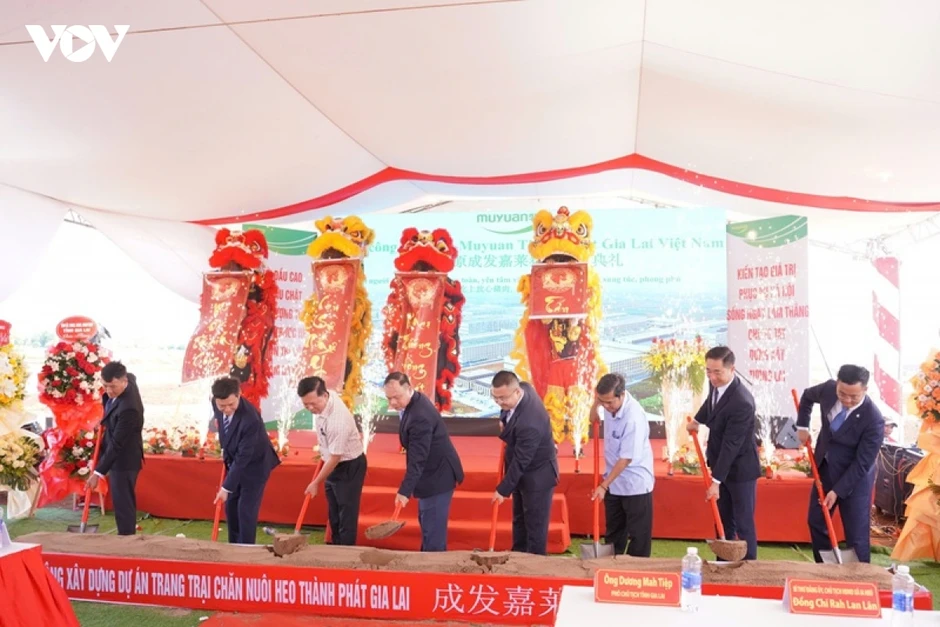 Gia Lai thu hút hơn 175 triệu USD vốn đầu tư từ Trung Quốc Gia Lai thu hút hơn 175 triệu USD vốn đầu tư từ Trung Quốc