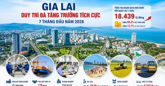 Gia Lai thu ngân sách trong 7 tháng đạt hơn 18.400 tỷ đồng