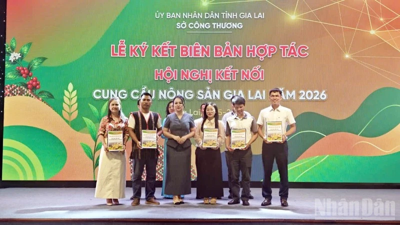 Gia Lai thúc đẩy kết nối nông sản năm 2026 Gia Lai thúc đẩy kết nối nông sản năm 2026