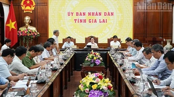 Gia Lai xử lý nghiêm các trường hợp trục lợi, găm hàng hay kê giá bất hợp lý
