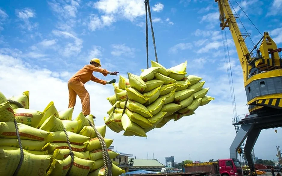 Giá lúa gạo đồng loạt tăng, xuất khẩu khởi sắc Giá lúa gạo đồng loạt tăng, xuất khẩu khởi sắc