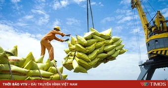 Giá lúa gạo đồng loạt tăng, xuất khẩu khởi sắc