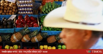 Giá lương thực toàn cầu cao nhất trong 3 năm