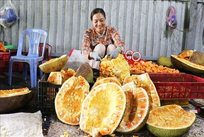 Giá mít lao dốc, nhiều nhà vườn thua lỗ