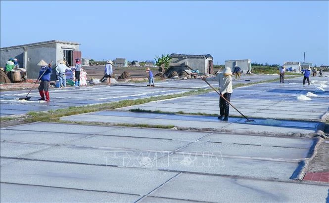 Giá muối đầu vụ tăng, diêm dân thêm động lực bám nghề Giá muối đầu vụ tăng, diêm dân thêm động lực bám nghề