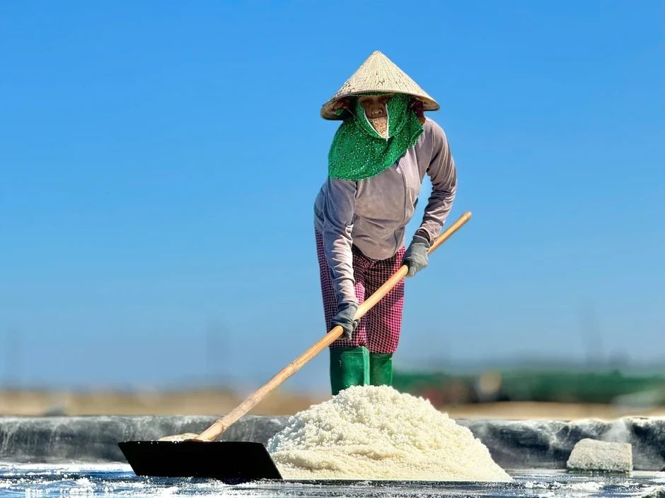 Giá muối Sa Huỳnh lập đỉnh, diêm dân vui hơn tết Giá muối Sa Huỳnh lập đỉnh, diêm dân vui hơn tết