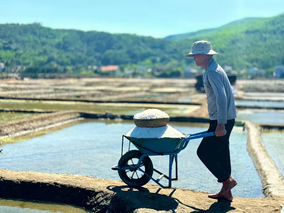 Giá muối Sa Huỳnh lập đỉnh, diêm dân vui hơn tết Giá muối Sa Huỳnh lập đỉnh, diêm dân vui hơn tết