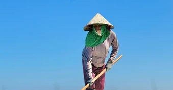 Giá muối Sa Huỳnh lập đỉnh, diêm dân vui hơn tết