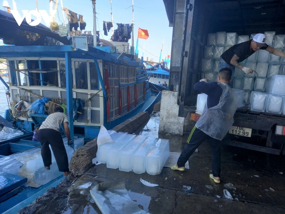 Giá nhiên liệu tăng cao: Ngư dân Nam Trung bộ xoay xở giữ nhịp vươn khơi Giá nhiên liệu tăng cao: Ngư dân Nam Trung bộ xoay xở giữ nhịp vươn khơi