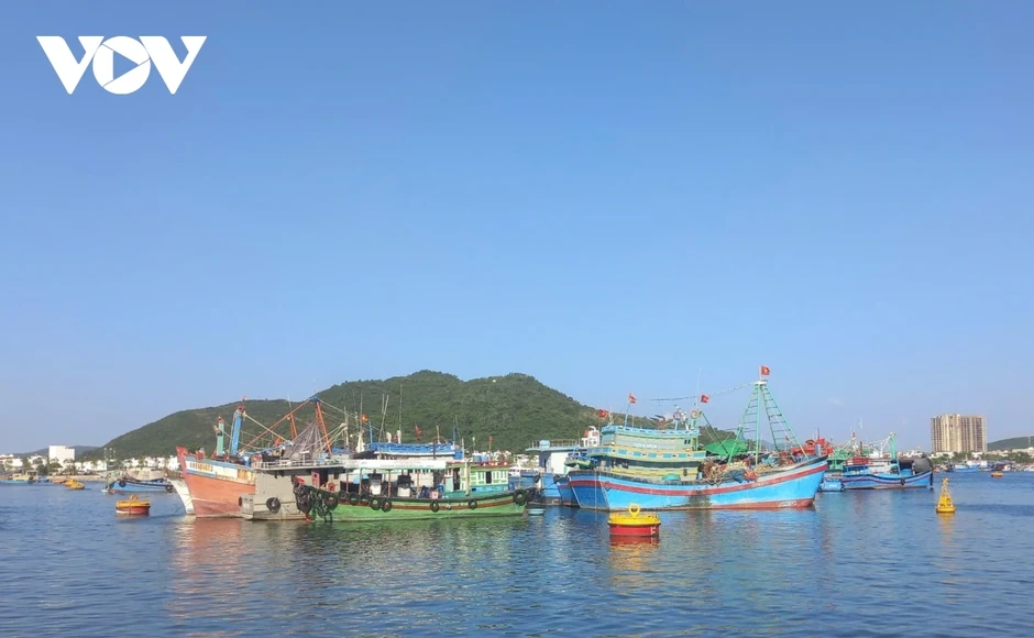Giá nhiên liệu tăng cao: Ngư dân Nam Trung bộ xoay xở giữ nhịp vươn khơi Giá nhiên liệu tăng cao: Ngư dân Nam Trung bộ xoay xở giữ nhịp vươn khơi