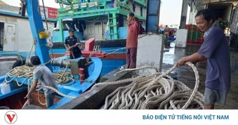 Giá nhiên liệu tăng cao: Ngư dân Nam Trung bộ xoay xở giữ nhịp vươn khơi
