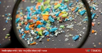 Giá nhựa toàn cầu tăng cao