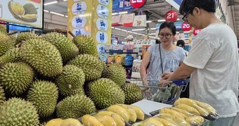 Giá sầu riêng ngược dòng nhiều loại nông sản