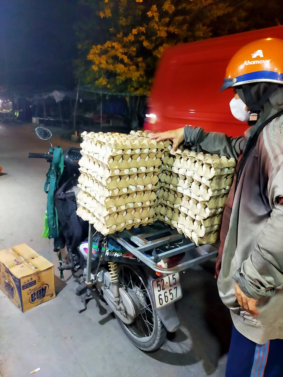 Giá trứng xuống đáy, người chăn nuôi điêu đứng Giá trứng xuống đáy, người chăn nuôi điêu đứng