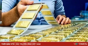 Giá vàng giảm 1,6 triệu đồng/lượng