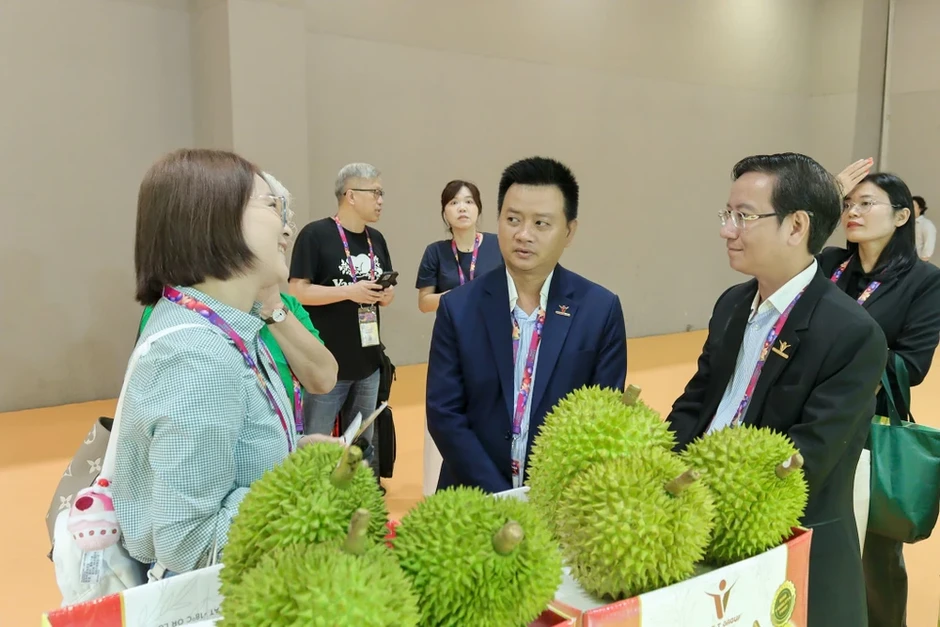 Giải bài toán chất lượng, tìm đường cho sầu riêng phát triển bền vững Giải bài toán chất lượng, tìm đường cho sầu riêng phát triển bền vững