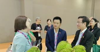 Giải bài toán chất lượng, tìm đường cho sầu riêng phát triển bền vững