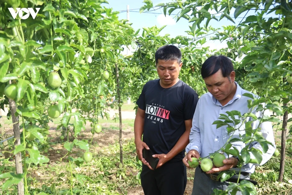 Giải pháp nào để Quảng Ngãi tăng trưởng 2 con số? Giải pháp nào để Quảng Ngãi tăng trưởng 2 con số?