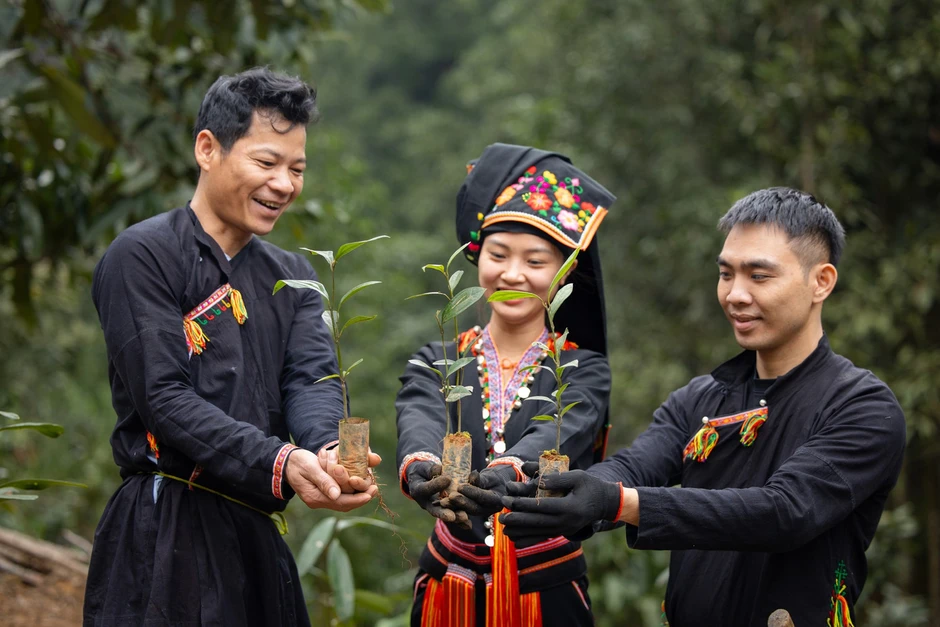 Giải thưởng Rồng Vàng 2026 ghi nhận dấu ấn chuyển đổi xanh của ofi tại Việt Nam