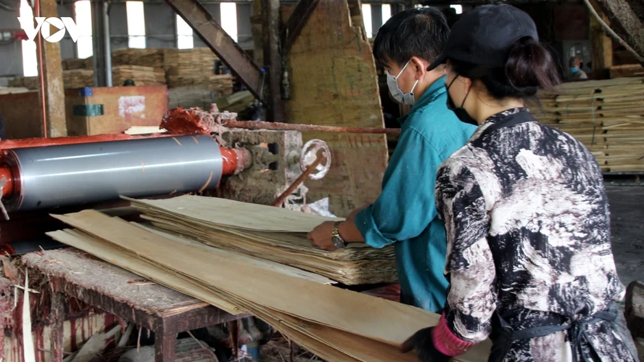 Gian lận xuất xứ tác động tiêu cực đến xuất khẩu vào thị trường EU