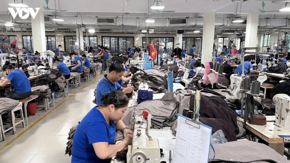Gian lận xuất xứ tác động tiêu cực đến xuất khẩu vào thị trường EU