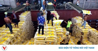 Gian lận xuất xứ tác động tiêu cực đến xuất khẩu vào thị trường EU