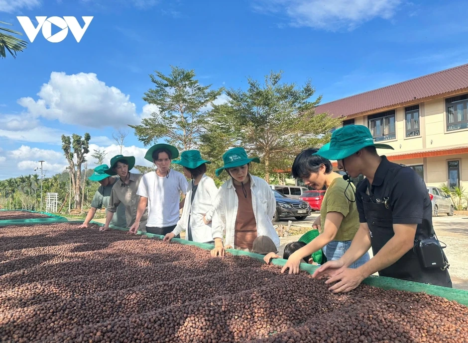 Giao dịch hàng hóa phái sinh giúp nông dân không phải “đánh đu” theo thị trường